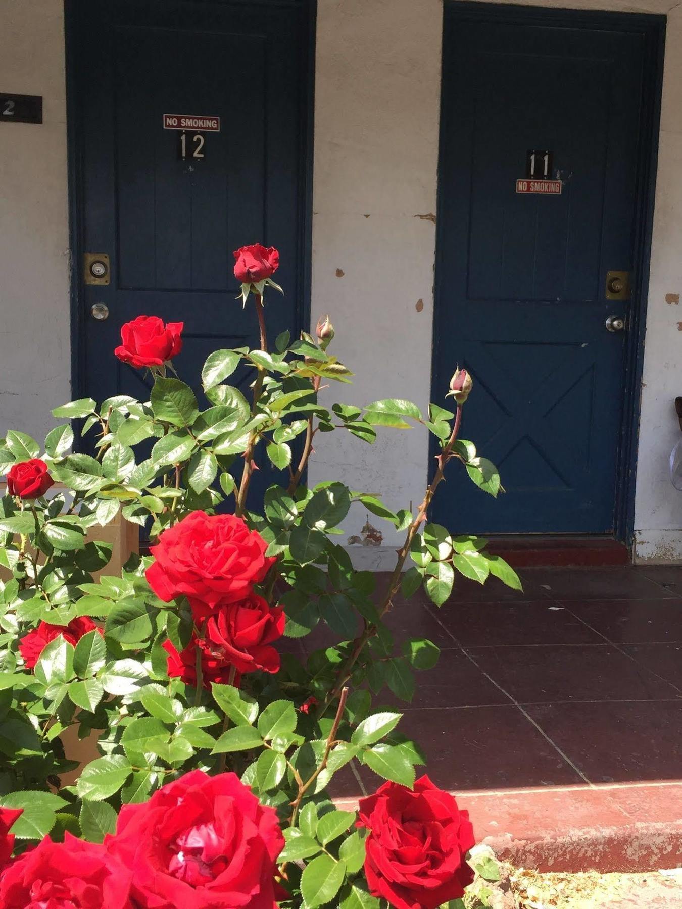 Townhouse Motel Bishop Ngoại thất bức ảnh