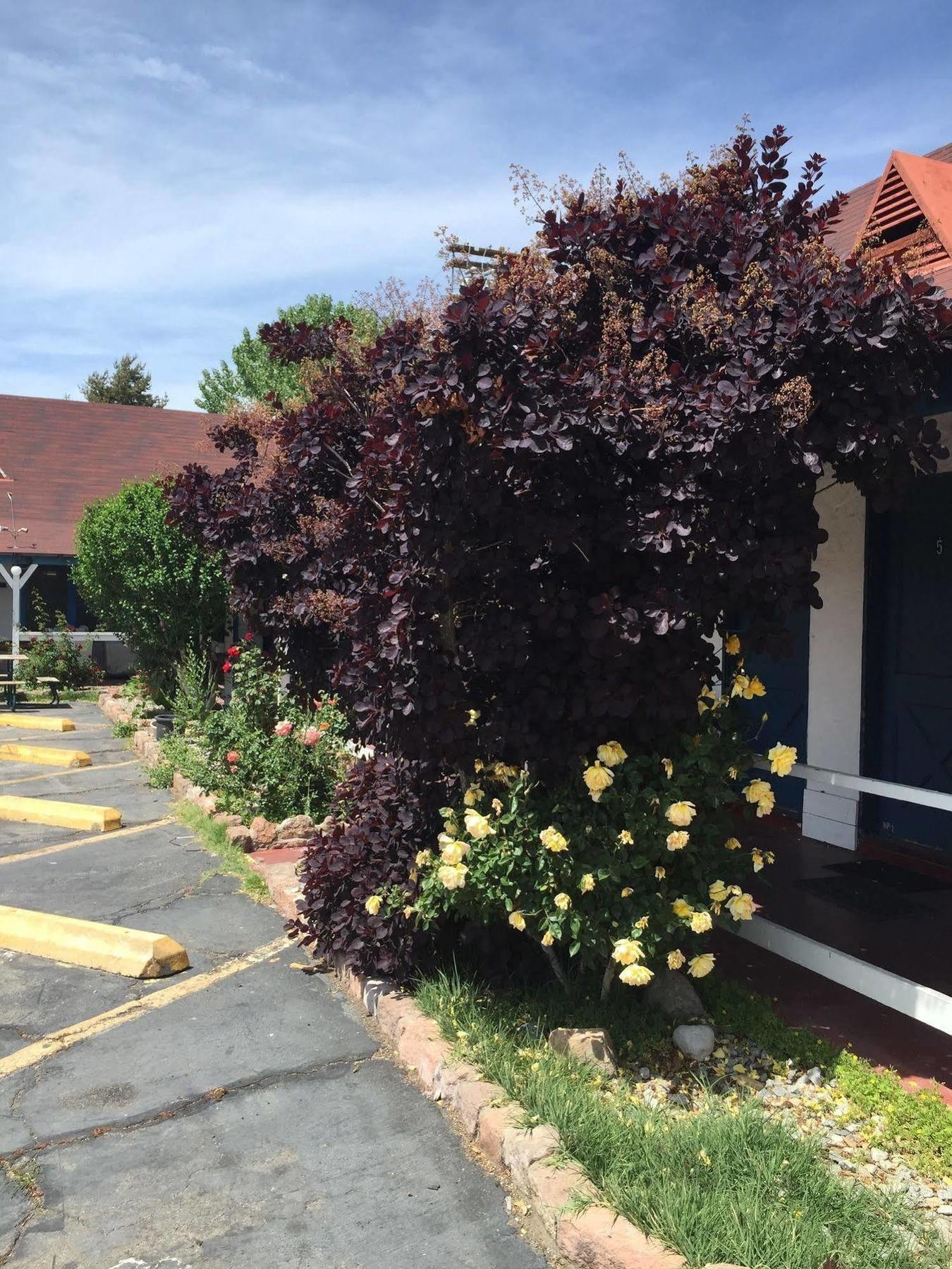 Townhouse Motel Bishop Ngoại thất bức ảnh
